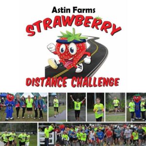 Strawberry Distance Challenge