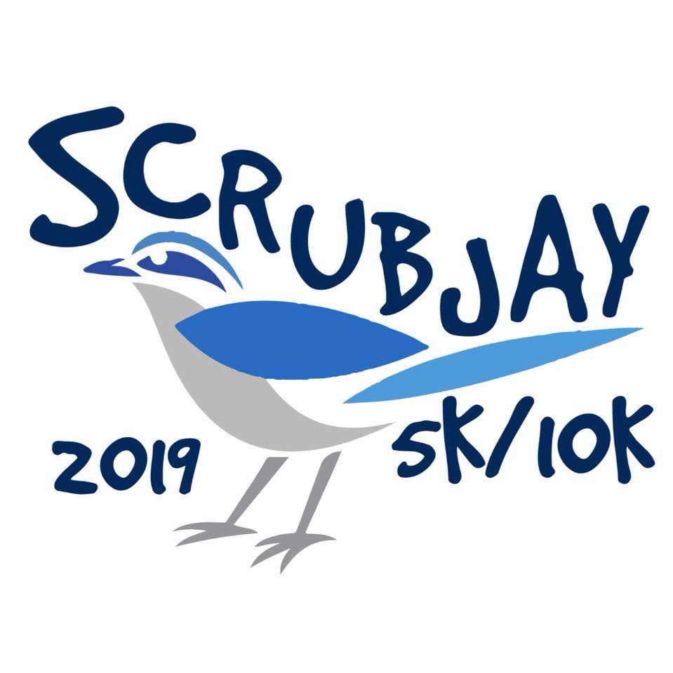 Scrub Jay Races